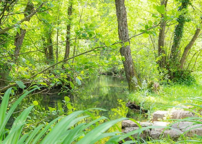 House Mavko Near Cerknica - Happy Grahovo