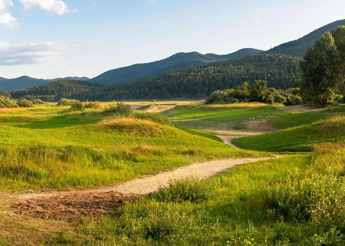 House Mavko Near Cerknica - Happy *